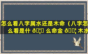 怎么看八字属水还是木命（八字怎么看是什 🦋 么命金 🐦 木水火土）